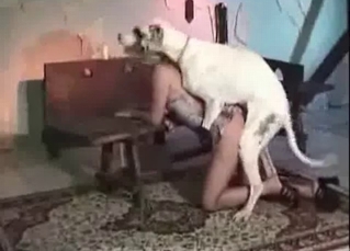 Frail chick and a big dog