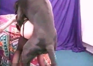 Zoophile babe and her black dog
