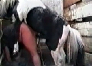 Kinky animalistic sex