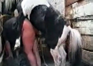 Kinky animalistic sex