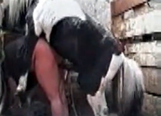 Kinky animalistic sex