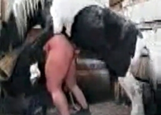 Kinky animalistic sex