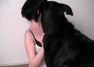 Dog gets blown by a masked slut