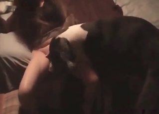 Fantastic dog fucking an innocent girl