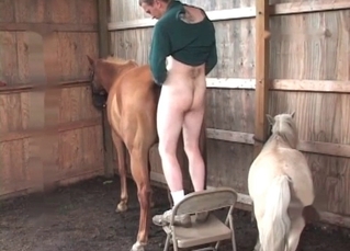 Barn sex for a flirty horse