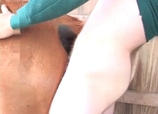 Barn sex for a flirty horse