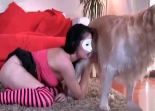 Masked owner blowing a dog
