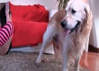 Masked owner blowing a dog