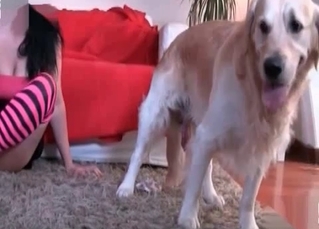 Masked owner blowing a dog