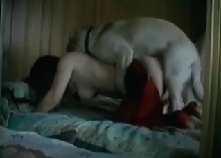 Kinky sex with a retriever