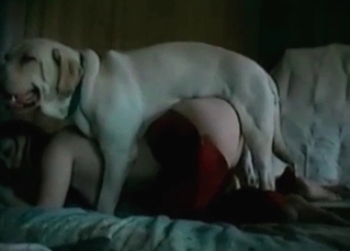 Kinky sex with a retriever