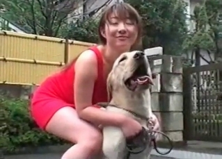 Big-dicked hound fucking