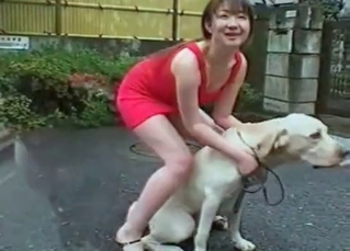 Big-dicked hound fucking