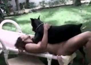 Ravishing chick screwed by a black dog