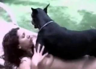 Ravishing chick screwed by a black dog