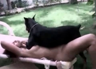 Ravishing chick screwed by a black dog