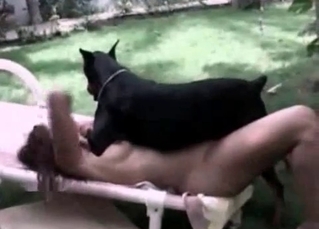 Ravishing chick screwed by a black dog