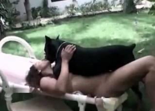 Ravishing chick screwed by a black dog