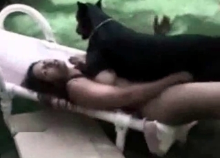Ravishing chick screwed by a black dog