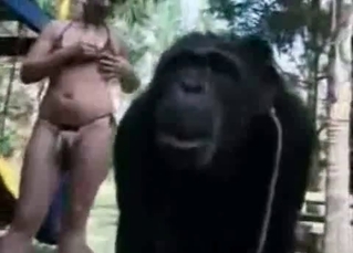 Horny monkey putting on a sexy show