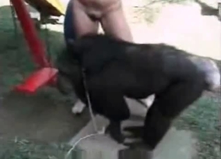 Horny monkey putting on a sexy show