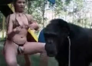 Horny monkey putting on a sexy show
