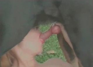 Throatfucking from a British dog