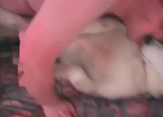 Young dog gets to fuck like it’s always wanted to