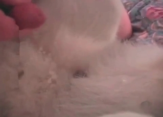 Young dog gets to fuck like it’s always wanted to