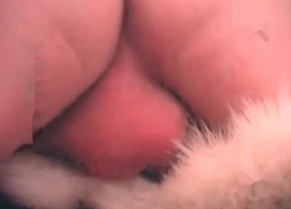 Young dog gets to fuck like it’s always wanted to