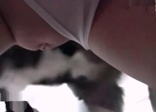 Babe fucking her pet shamelessly