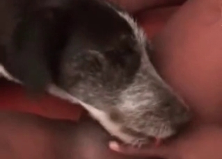 Sporty black chick loves getting her pussy eaten out