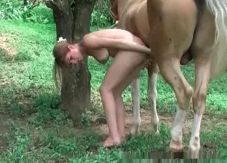 Sporty slut railed by a horse