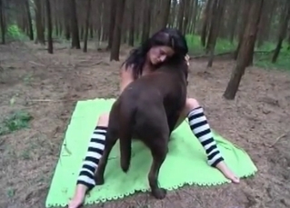 Forest sex for kinky animals