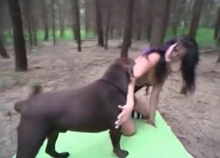 Forest sex for kinky animals