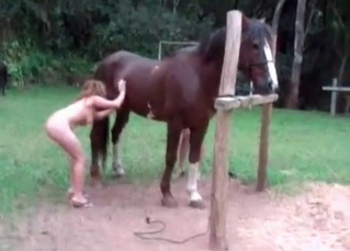 Stallion pounding two filthy sluts