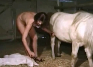 Horse fucking this stacked MILF
