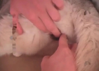 Cute husky enjoying all that dirty action