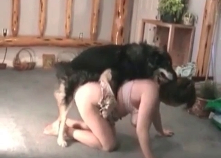 Skillful husky showing its worth