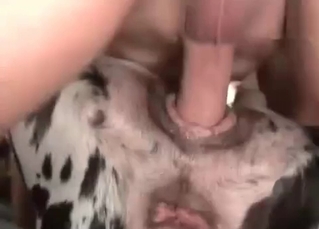 This dog loves a good cock
