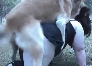 Stunning dog fucking like a pro