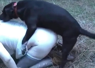 Stunning dog fucking like a pro