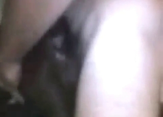 Bedroom fucking for an animal