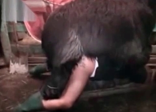 Animalistic sex on a farm