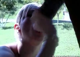 Blowjob for a hot, lusty stallion