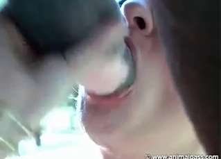 Blowjob for a hot, lusty stallion