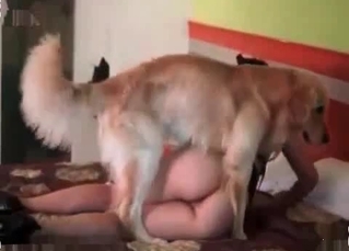 Rubbing her juicy pussy in a zoo