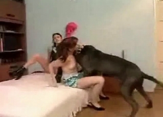 They love playing around with dog dicks