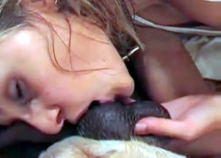 This animal’s holes get licked clean