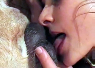 This animal’s holes get licked clean